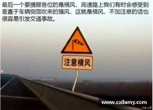 保级之路险象环生，汉诺威需警惕形势愈发严峻 - 副本