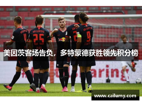 美因茨客场告负，多特蒙德获胜领先积分榜