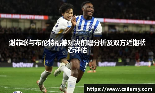 谢菲联与布伦特福德对决前瞻分析及双方近期状态评估
