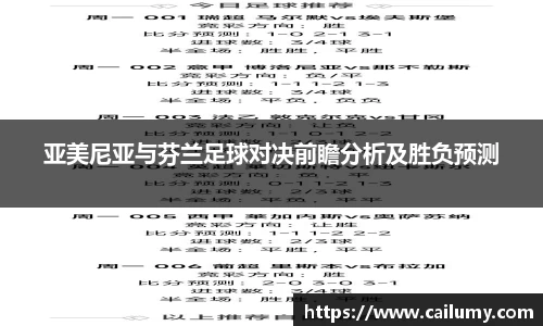 亚美尼亚与芬兰足球对决前瞻分析及胜负预测